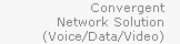 Convergent Network Solution (Voice/Data/Video)